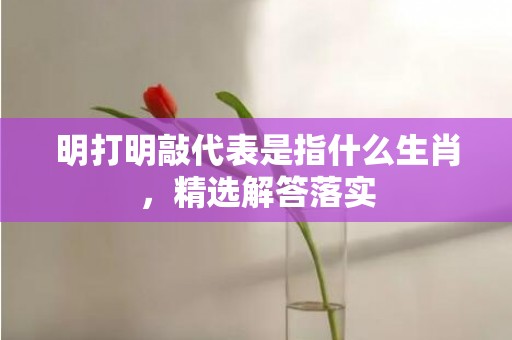 明打明敲代表是指什么生肖，精选解答落实