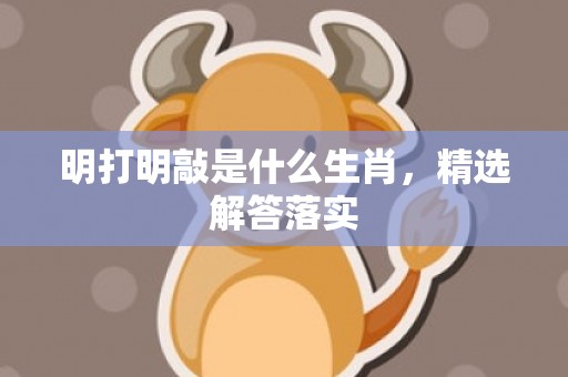 明打明敲是什么生肖，精选解答落实
