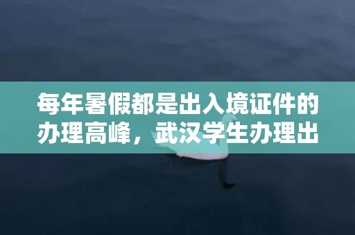 每年暑假都是出入境证件的办理高峰，武汉学生办理出入境夜间专场时间2023