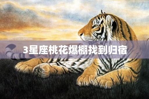 3星座桃花爆棚找到归宿