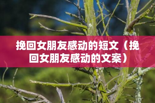 挽回女朋友感动的短文（挽回女朋友感动的文案）