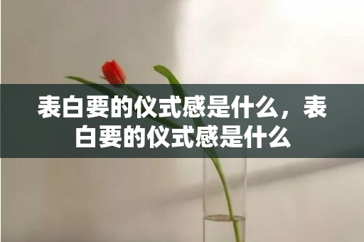 表白要的仪式感是什么，表白要的仪式感是什么