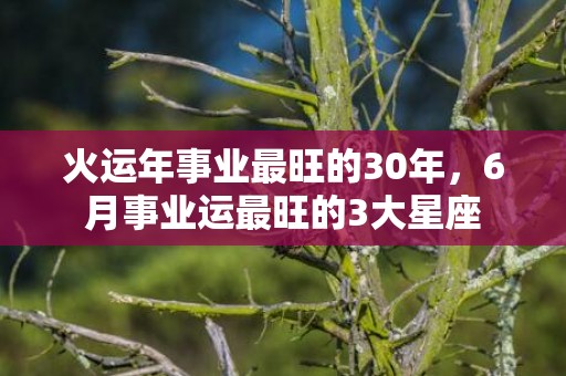 火运年事业最旺的30年，6月事业运最旺的3大星座