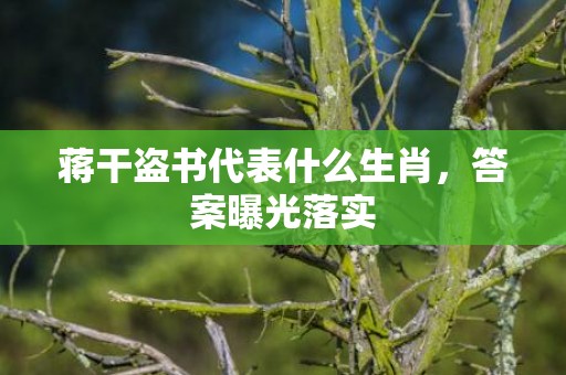 蒋干盗书代表什么生肖，答案曝光落实