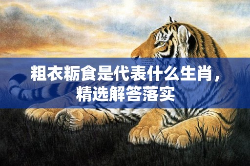 粗衣粝食是代表什么生肖，精选解答落实