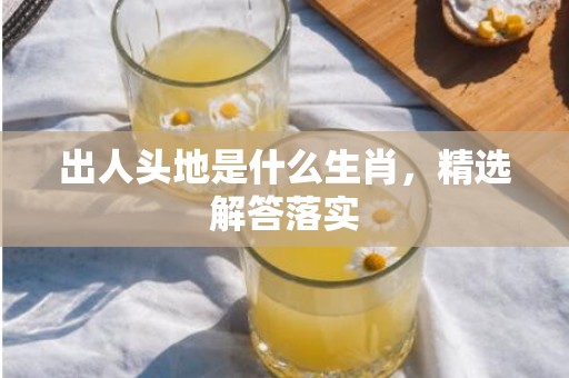 出人头地是什么生肖，精选解答落实