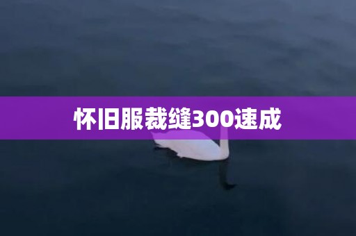 怀旧服裁缝300速成