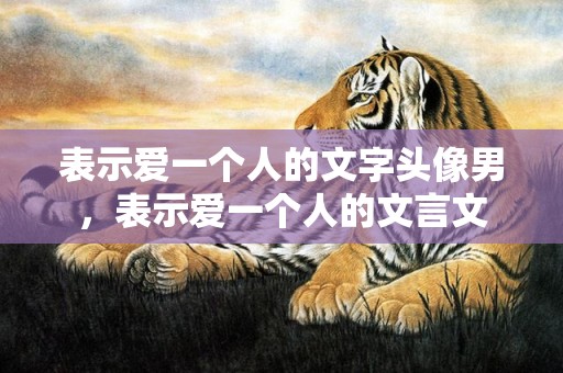 表示爱一个人的文字头像男，表示爱一个人的文言文