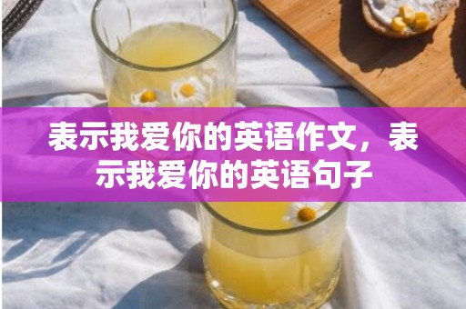表示我爱你的英语作文，表示我爱你的英语句子