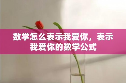 数学怎么表示我爱你，表示我爱你的数学公式