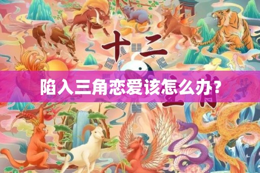 陷入三角恋爱该怎么办？