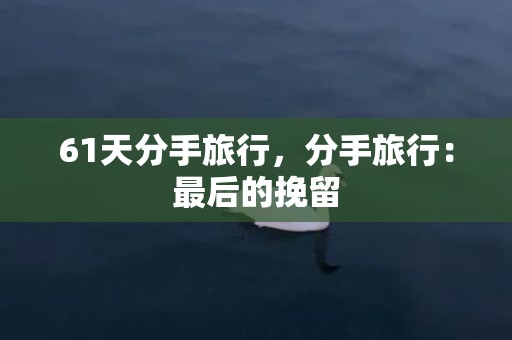 61天分手旅行，分手旅行：最后的挽留