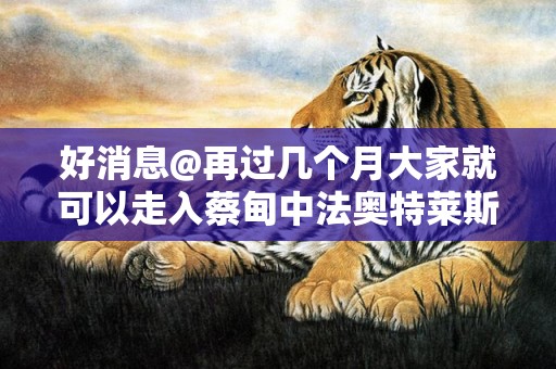好消息@再过几个月大家就可以走入蔡甸中法奥特莱斯进行选购