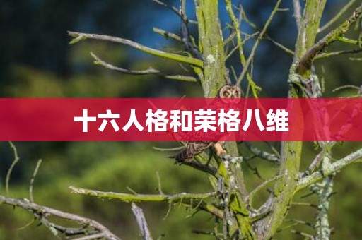 十六人格和荣格八维