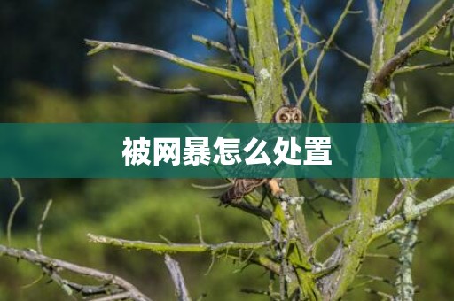 被网暴怎么处置