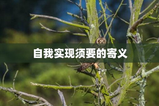 自我实现须要的寄义