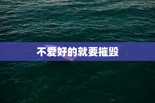 不爱好的就要摧毁