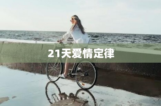 21天爱情定律