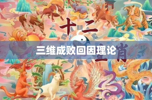 三维成败回因理论