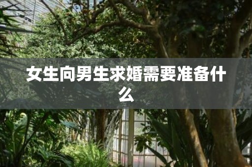 女生向男生求婚需要准备什么