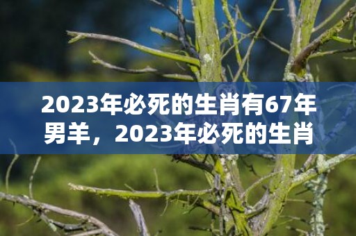 2023年必死的生肖有67年男羊，2023年必死的生肖