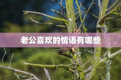 老公喜欢的情语有哪些