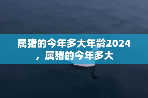 属猪的今年多大年龄2024，属猪的今年多大
