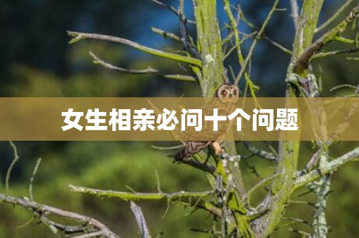 女生相亲必问十个问题