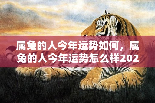 属兔的人今年运势如何，属兔的人今年运势怎么样2023