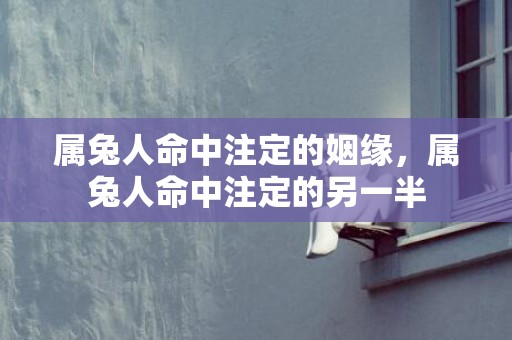 属兔人命中注定的姻缘，属兔人命中注定的另一半