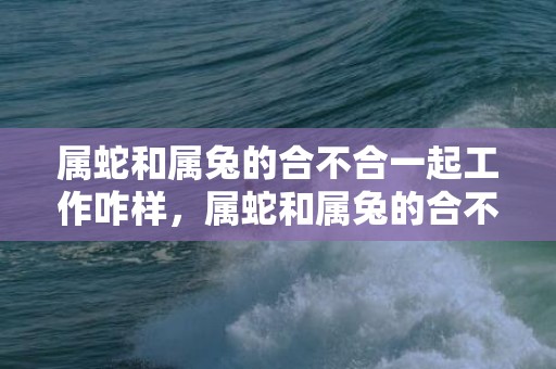 属蛇和属兔的合不合一起工作咋样，属蛇和属兔的合不合