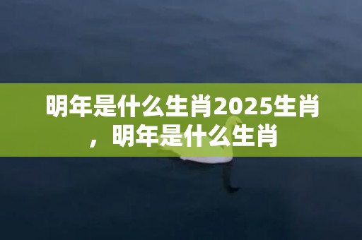 明年是什么生肖2025生肖，明年是什么生肖