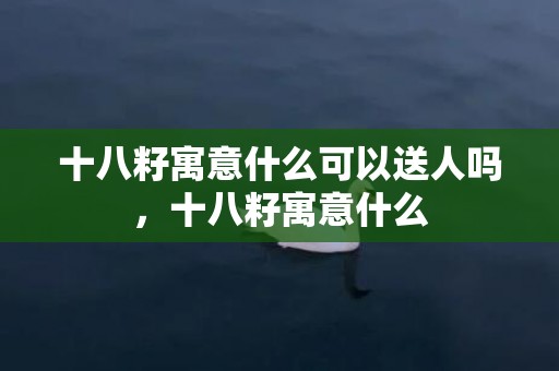 十八籽寓意什么可以送人吗，十八籽寓意什么