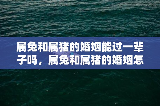 属兔和属猪的婚姻能过一辈子吗，属兔和属猪的婚姻怎么样