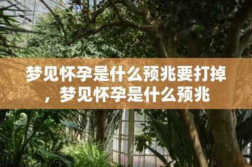 梦见怀孕是什么预兆要打掉，梦见怀孕是什么预兆