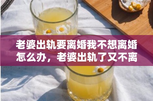 老婆出轨要离婚我不想离婚怎么办，老婆出轨了又不离婚是什么意思呢