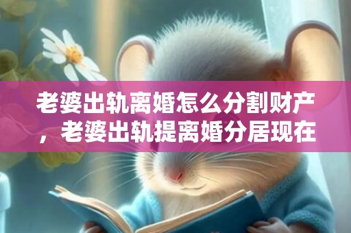 老婆出轨离婚怎么分割财产，老婆出轨提离婚分居现在拖着什么意思