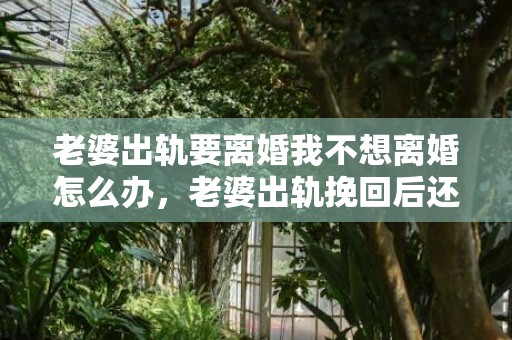 老婆出轨要离婚我不想离婚怎么办，老婆出轨挽回后还能幸福吗知乎文章