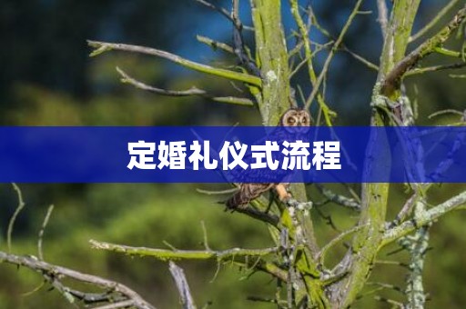 定婚礼仪式流程