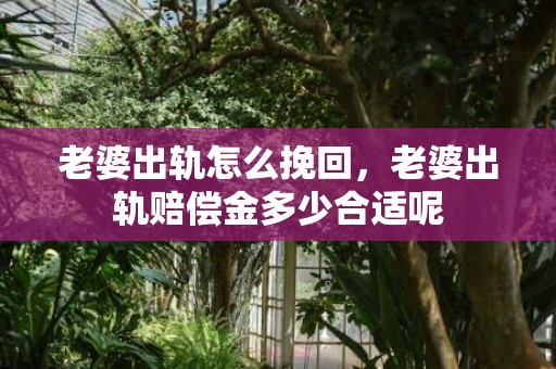 老婆出轨怎么挽回，老婆出轨赔偿金多少合适呢