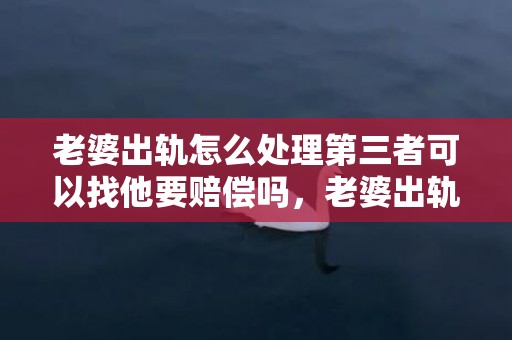 老婆出轨怎么处理第三者可以找他要赔偿吗，老婆出轨赔偿协议书模板