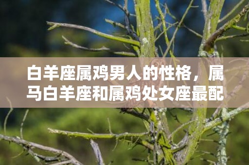白羊座属鸡男人的性格，属马白羊座和属鸡处女座最配吗
