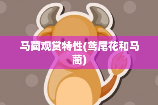 马蔺观赏特性(鸢尾花和马蔺)