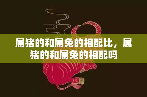 属猪的和属兔的相配比，属猪的和属兔的相配吗