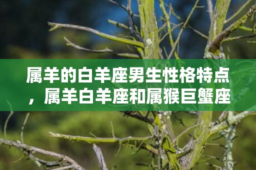 属羊的白羊座男生性格特点，属羊白羊座和属猴巨蟹座在一起怎么样