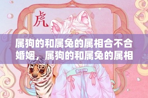 属狗的和属兔的属相合不合婚姻，属狗的和属兔的属相合不合
