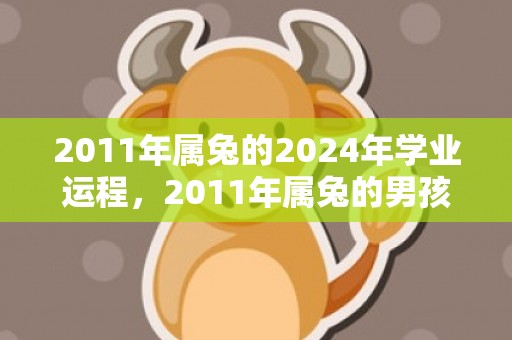 2011年属兔的2024年学业运程，2011年属兔的男孩命好不好