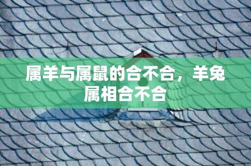 属羊与属鼠的合不合，羊兔属相合不合