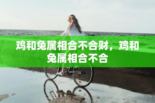 鸡和兔属相合不合财，鸡和兔属相合不合