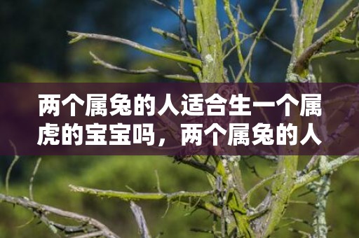 两个属兔的人适合生一个属虎的宝宝吗，两个属兔的人适合做夫妻吗